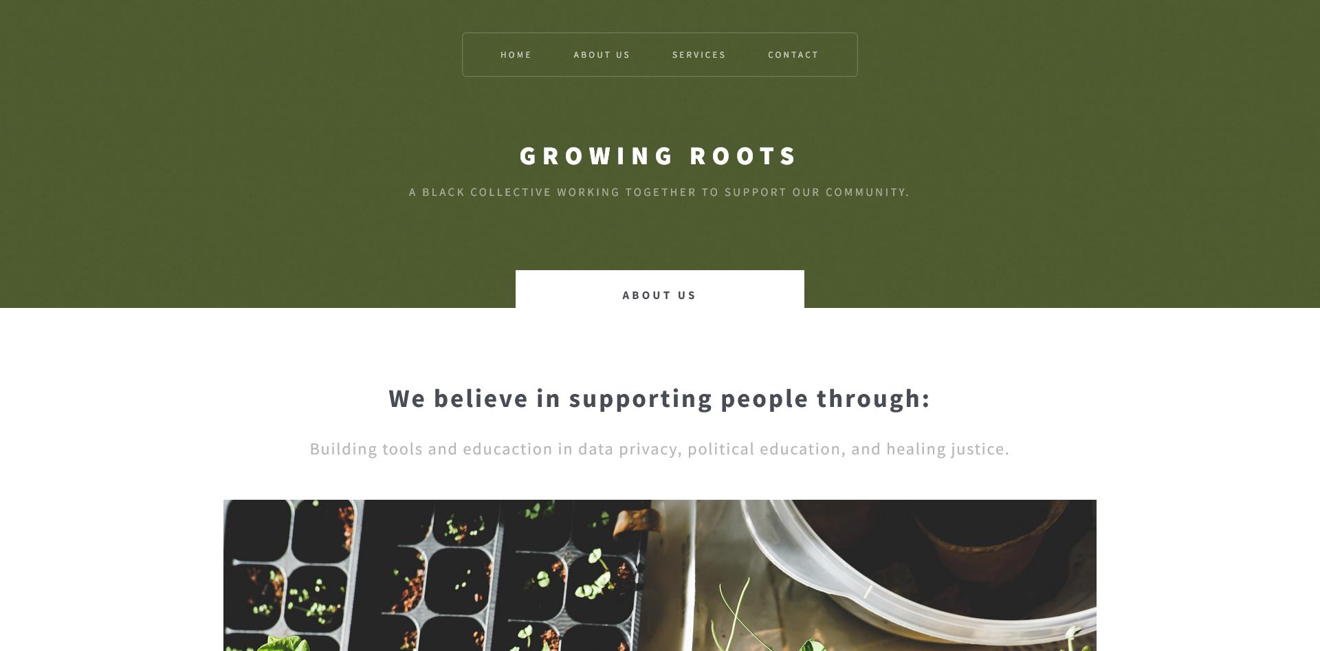 Website with a dark green header and image of seeds in a container